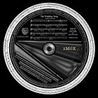 AMOR - The Wedding Song