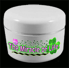 The Miracle of Life - Harmony Healing